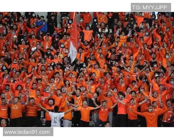 延庆足球明星名单正式发布引发球迷热议与期待